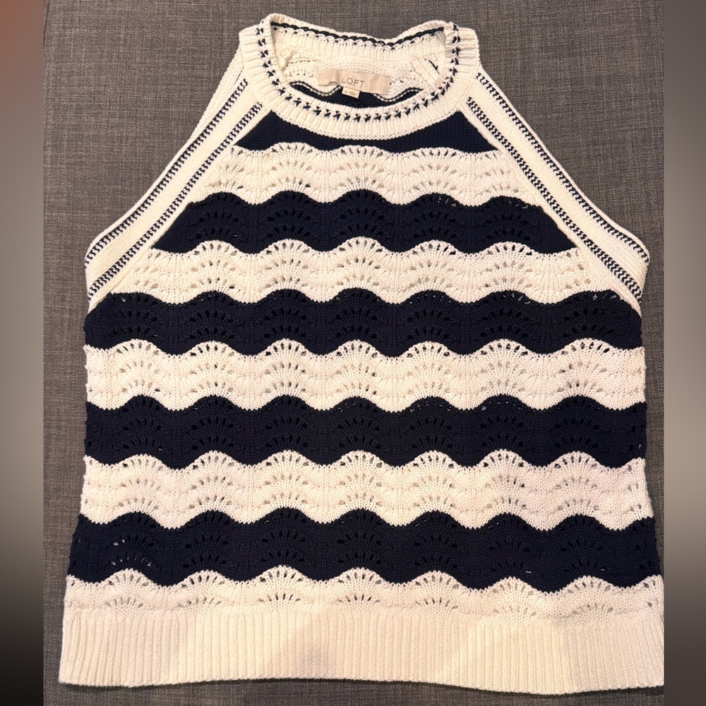 LOFT Navy and White Knit Sweater